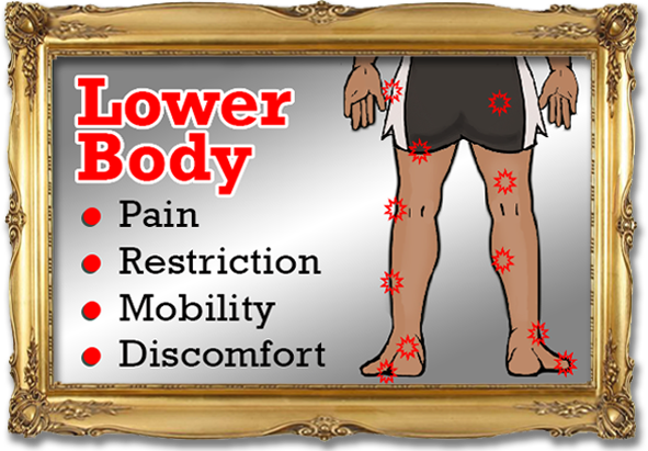 Lower Bodys